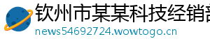 钦州市某某科技经销部